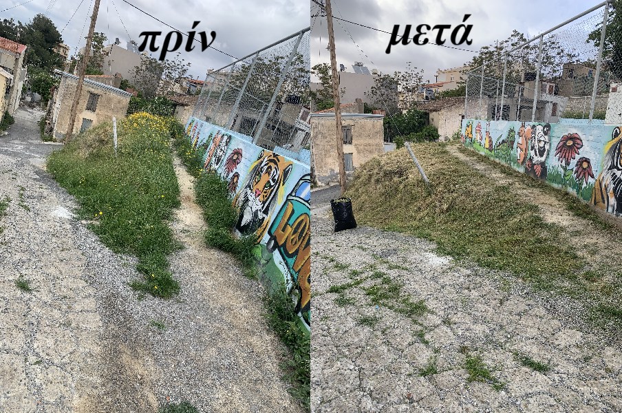 Καθαρισμός Δημοτικού Σχολείου Βασιλειών